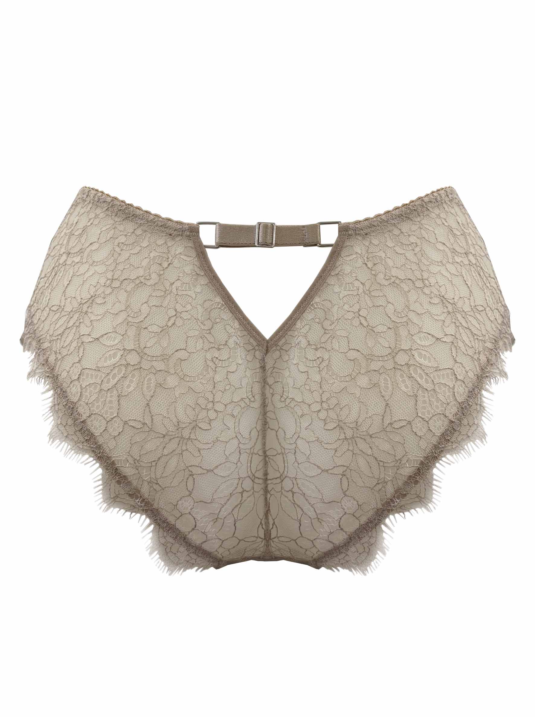 Gabrielle Lace Brief